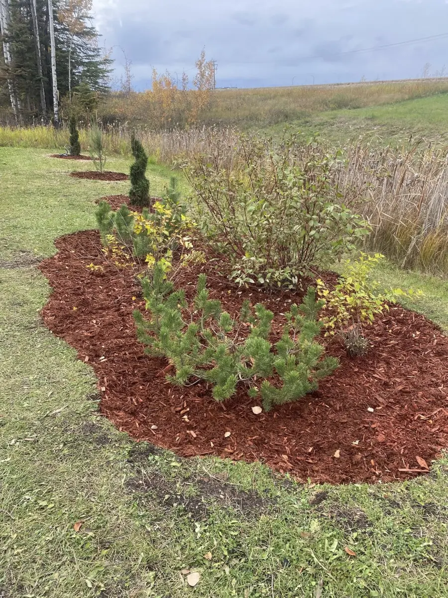 Clean lawn and landscape bed example by LawnSharks NS